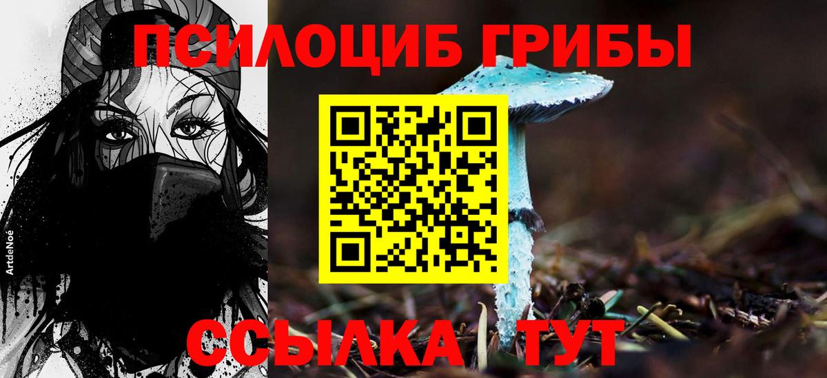 Чистополь  Псилоцибиновые грибы Magic Shrooms  Псилоцибиновые грибы Magic Shrooms  Вход с VPN 