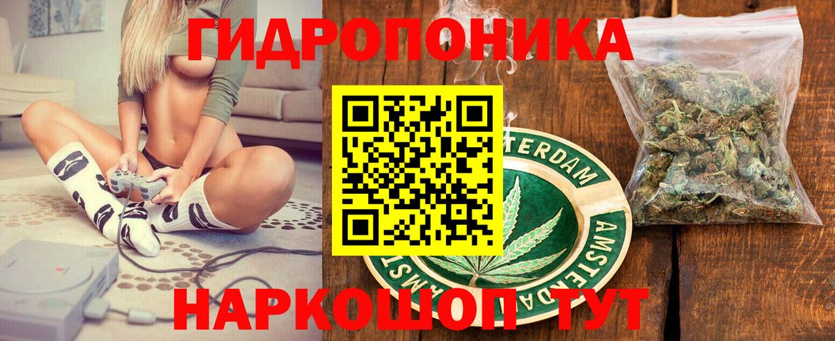 Бошки марихуана гибрид  Шишки марихуана SATIVA & INDICA  Вход с VPN  Чистополь 